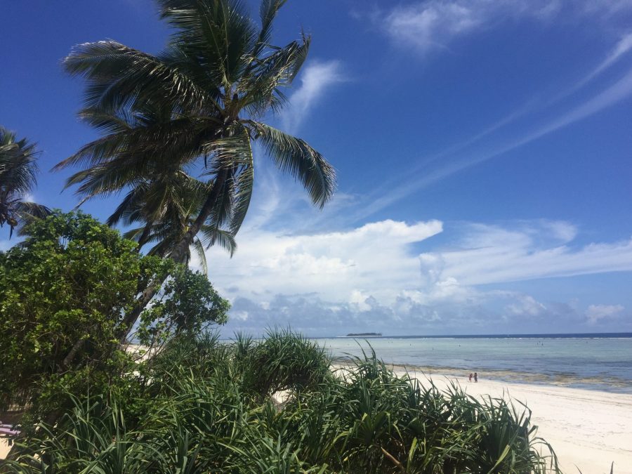 Zanzibar beach